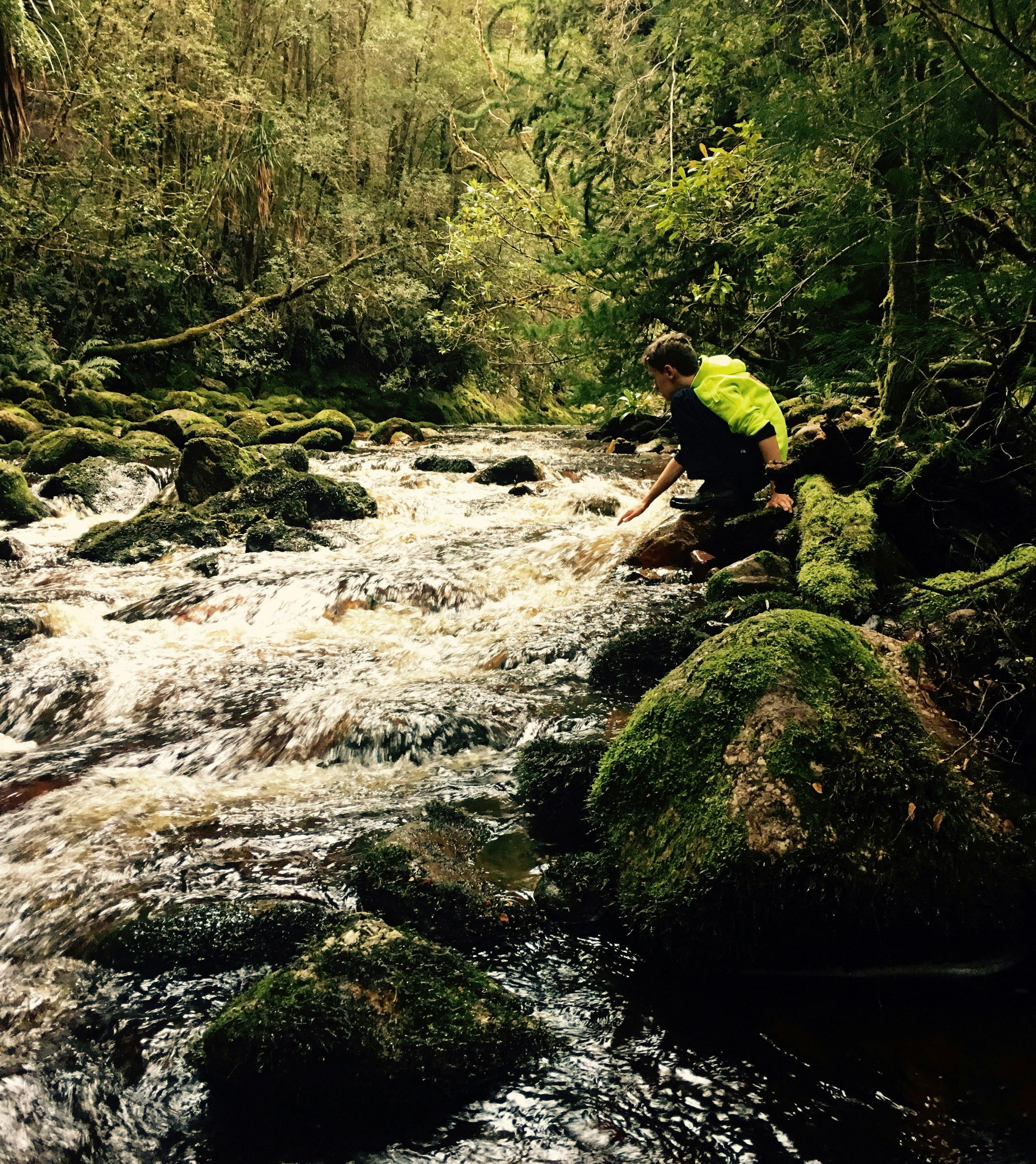 RoamWild Tasmania