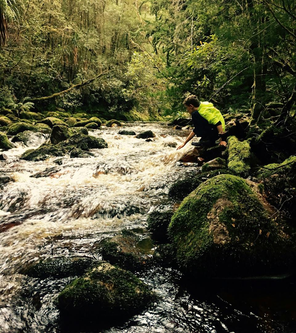 RoamWild Tasmania photo