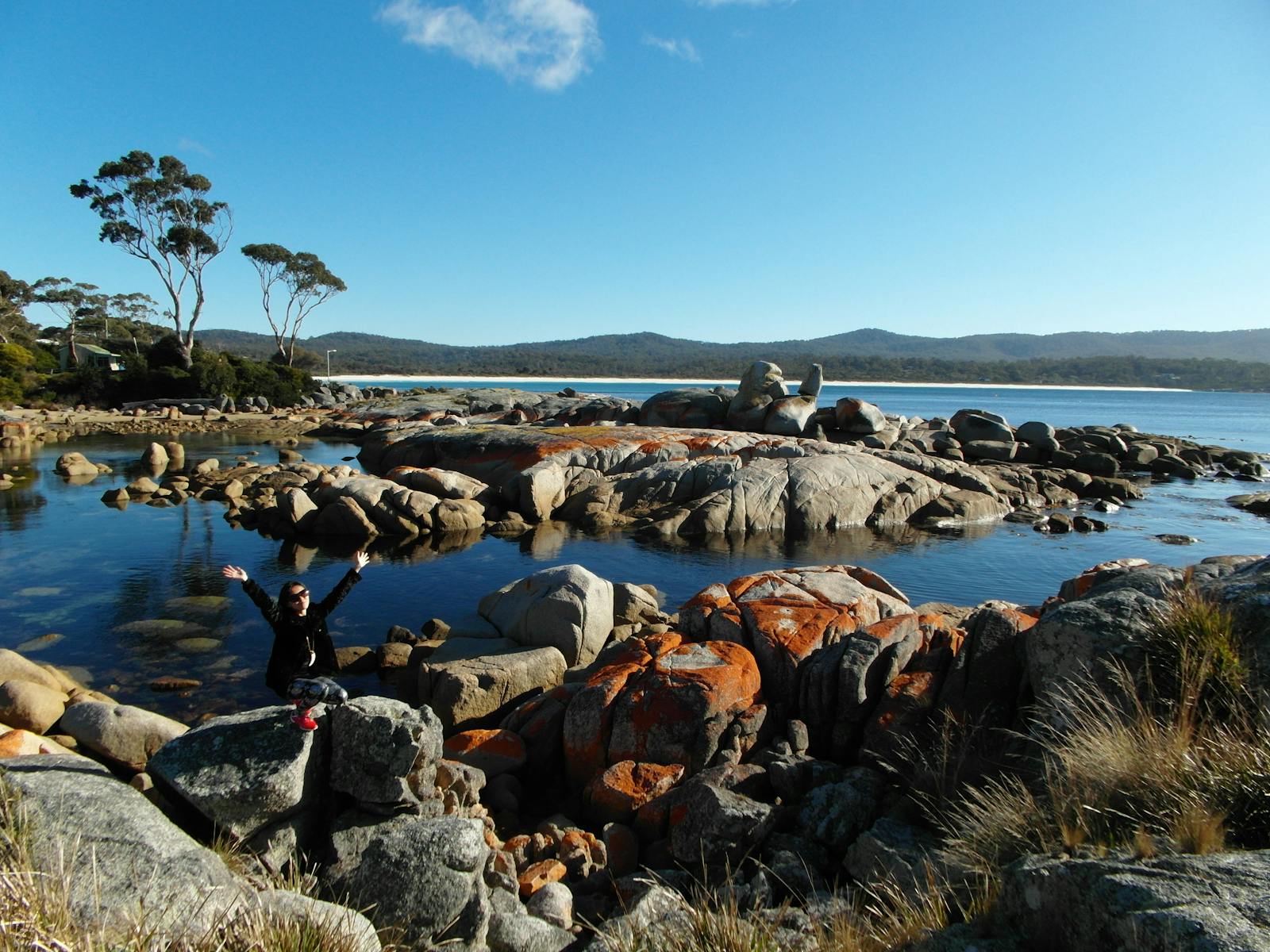 Orange lichen covering rocks at the Bay Of Fires