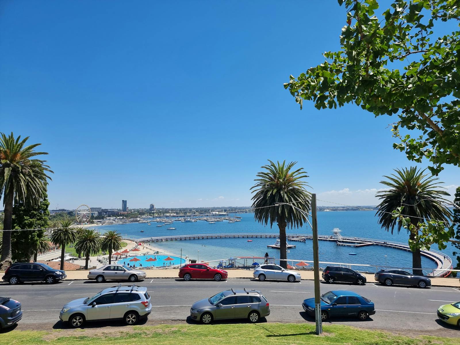 Blue bay with swimming encloser and palm trees at Geelong Eastern Beach