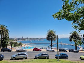 Blue bay with swimming encloser and palm trees at Geelong Eastern Beach