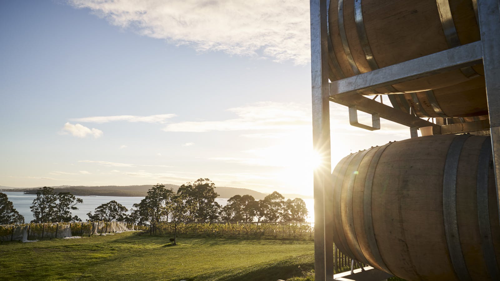 Winery adjoining our scenic cellar door