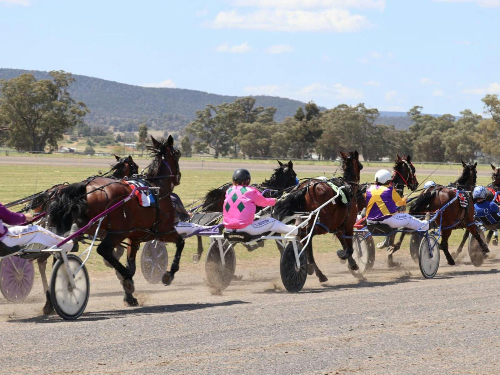 Harness racing at Eugowra