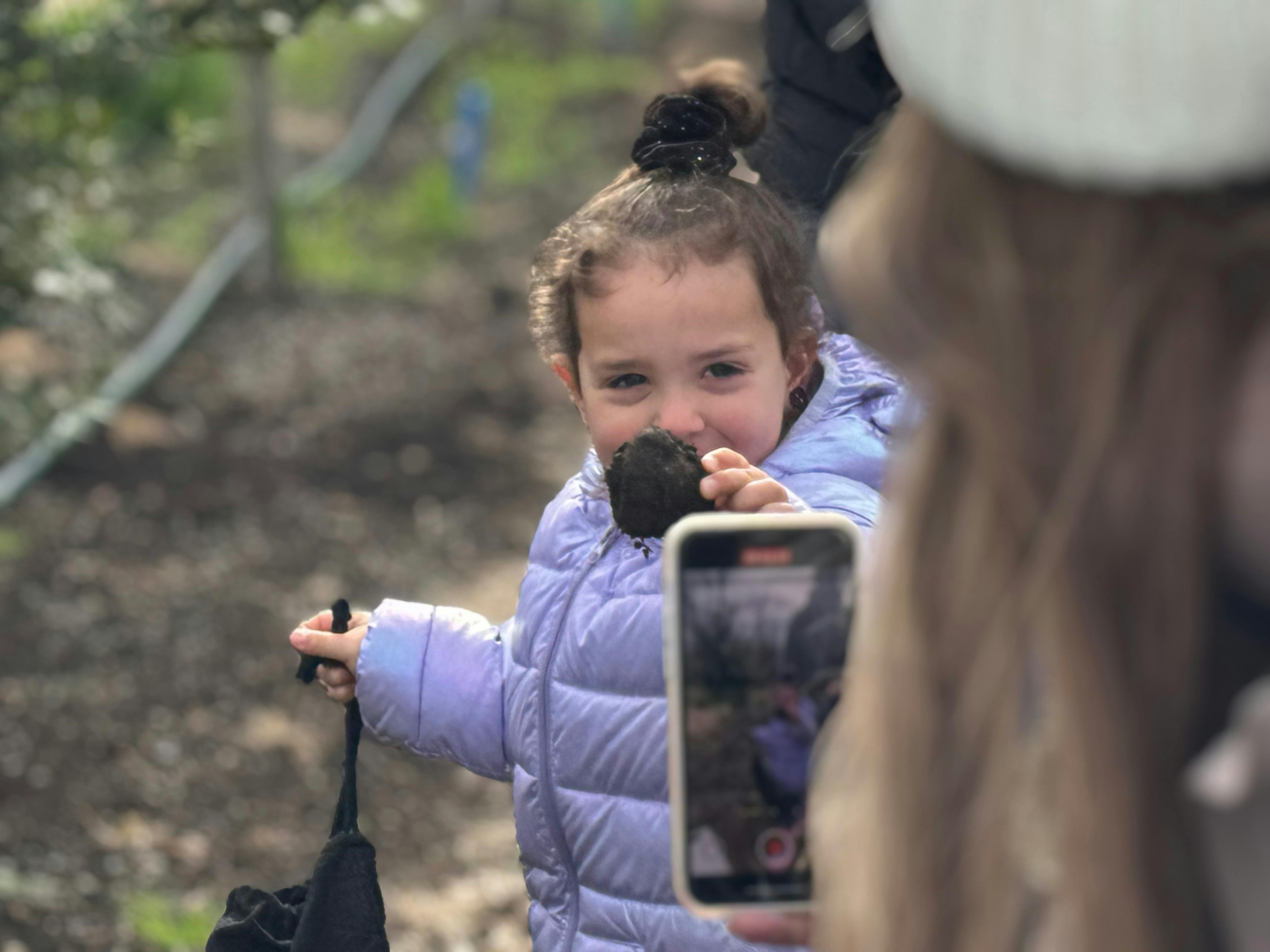 Tiny hands, rare treasure - family memories made on a truffle hunt at Scotch Hill Truffle Farm