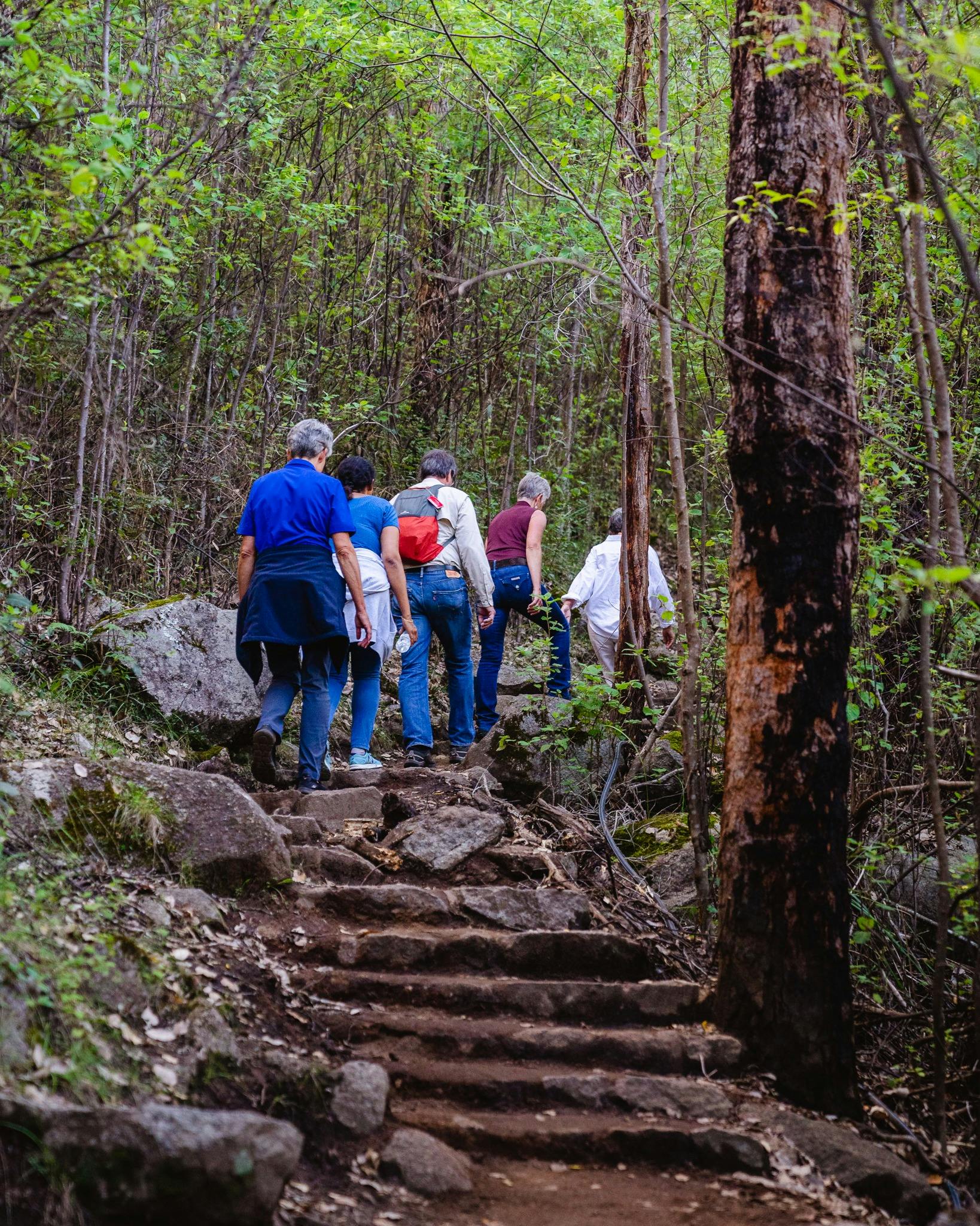 Tour Guide with hikers on nature trail in Porongurup National Park