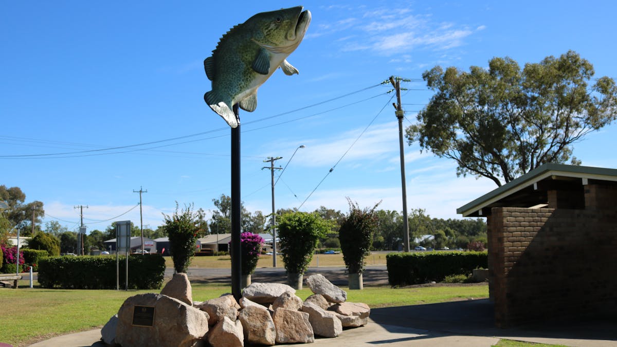 Big Cod Statue in Goondiwindi Region