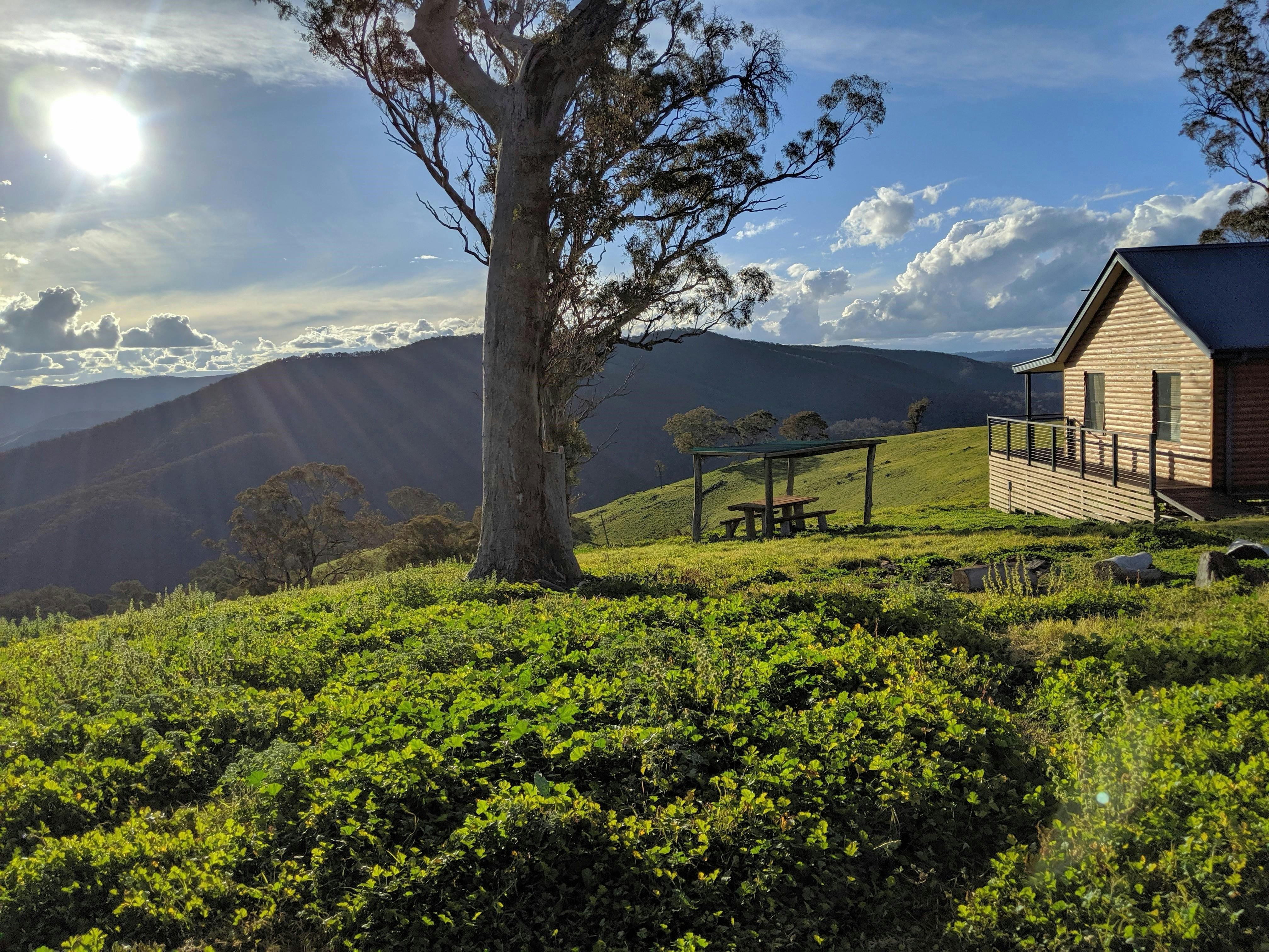 View from a mountain cabin at Turon Gates