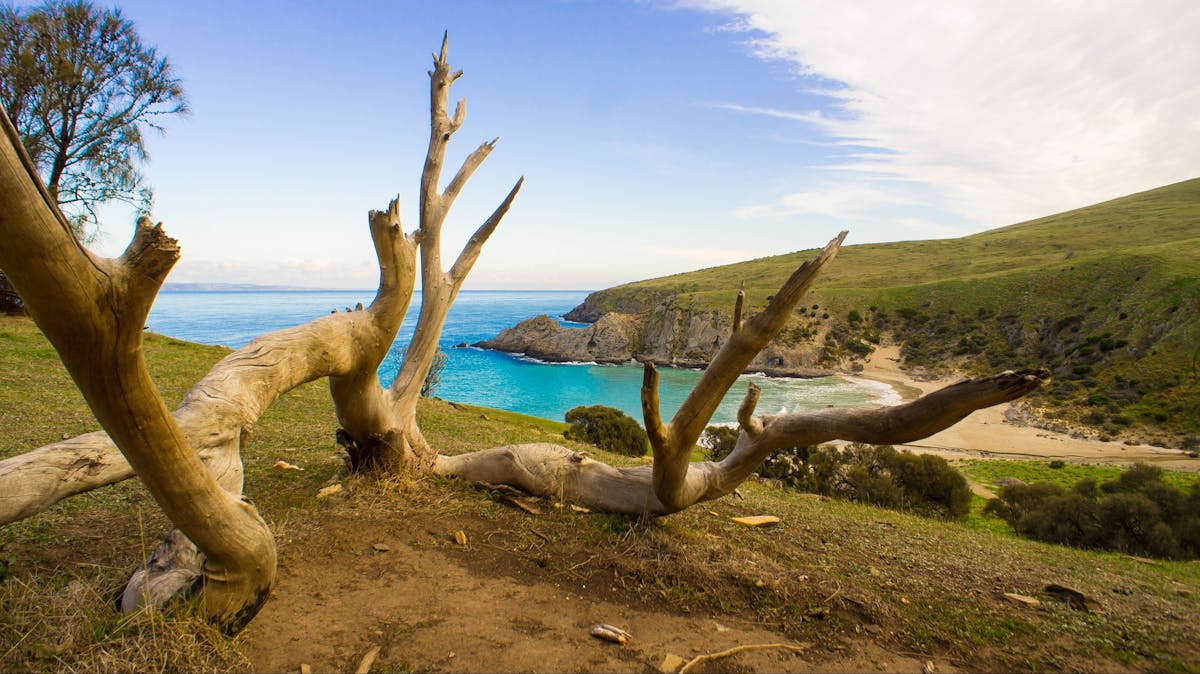 deep-creek-cove