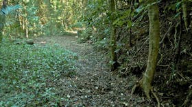 Mount Matheson Loop