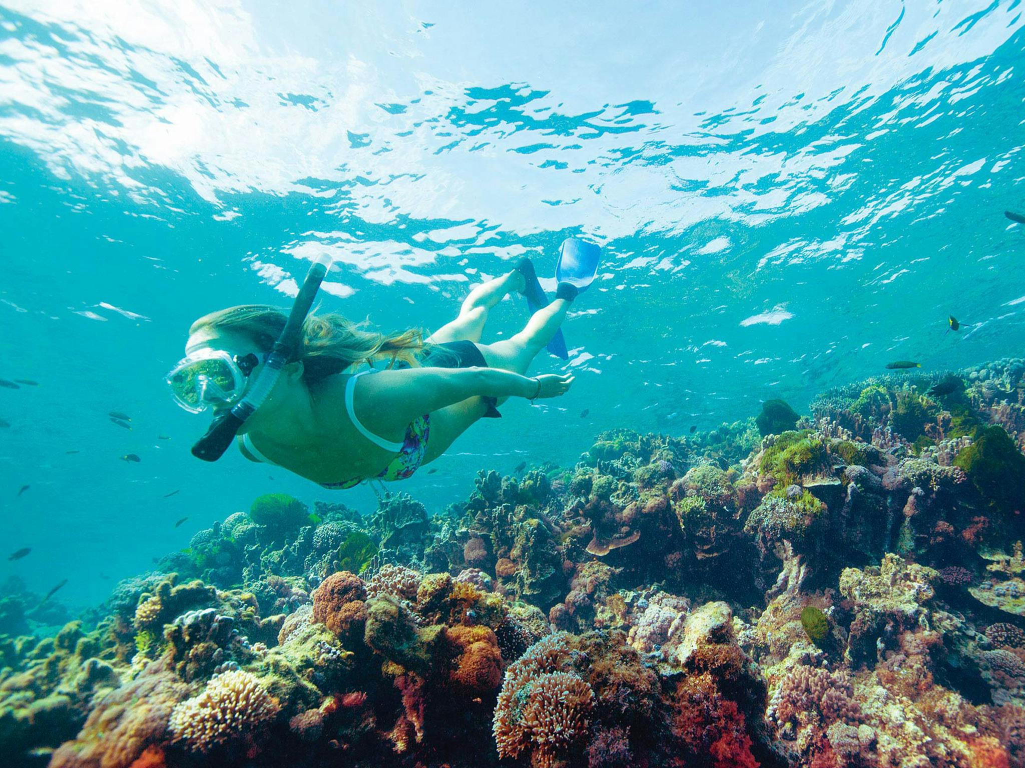 Lord Howe Island Air Tour (5 days) | NSW Holidays ...