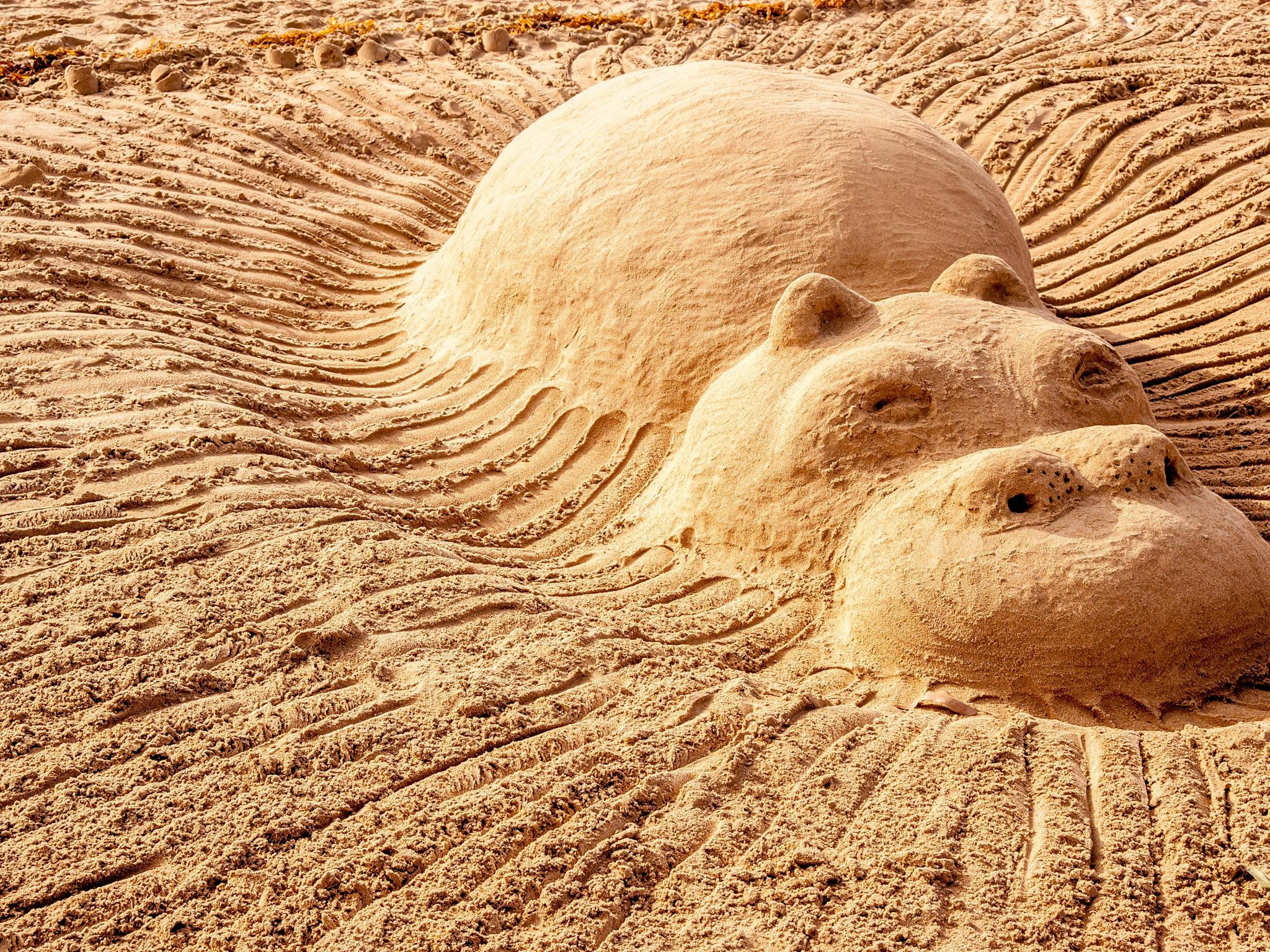 Sand sculpture of a hippo