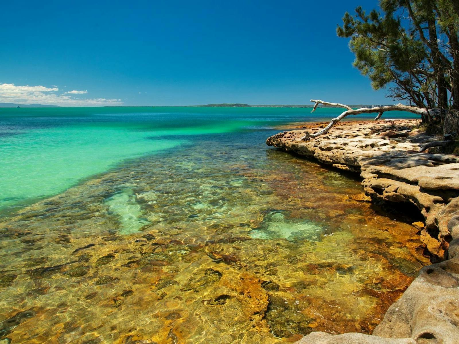 Bristol Point Rock Shelf