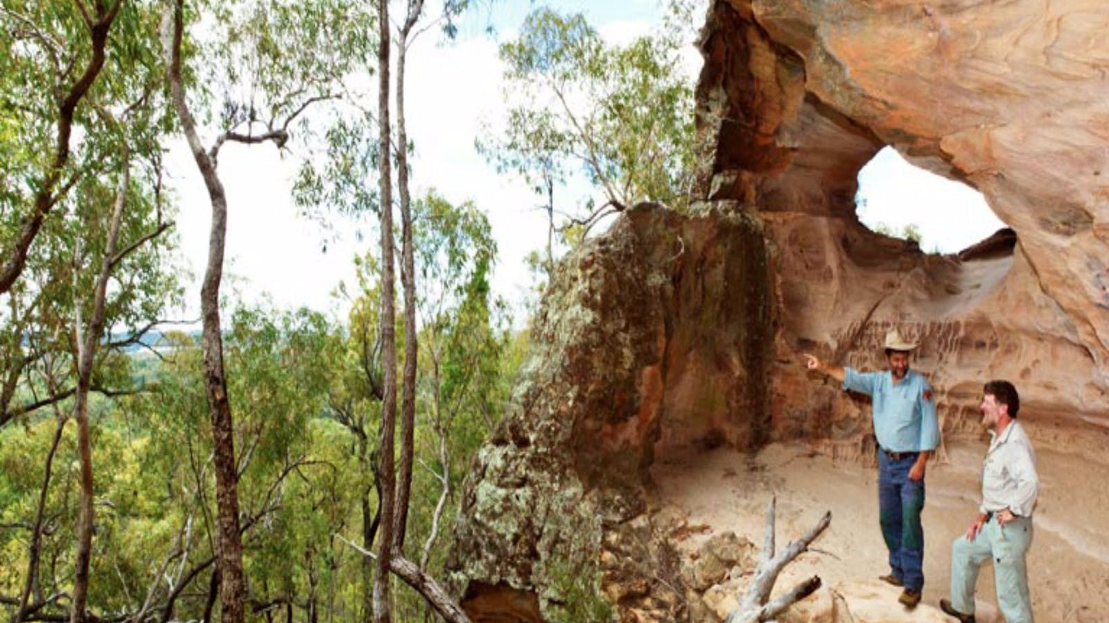 Pilliga Forest