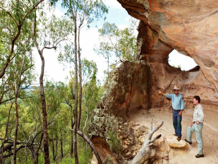 Pilliga Forest