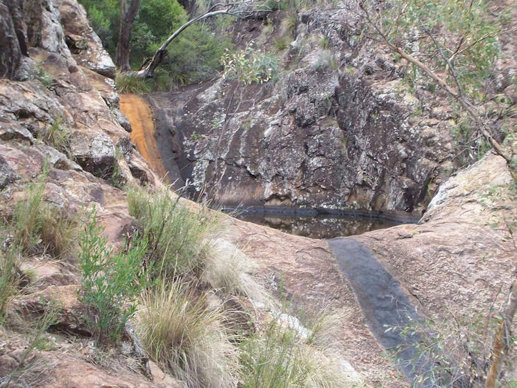 Mill-bullah walking track, Mount Kaputar National Park. Photo: Jessica Stokes