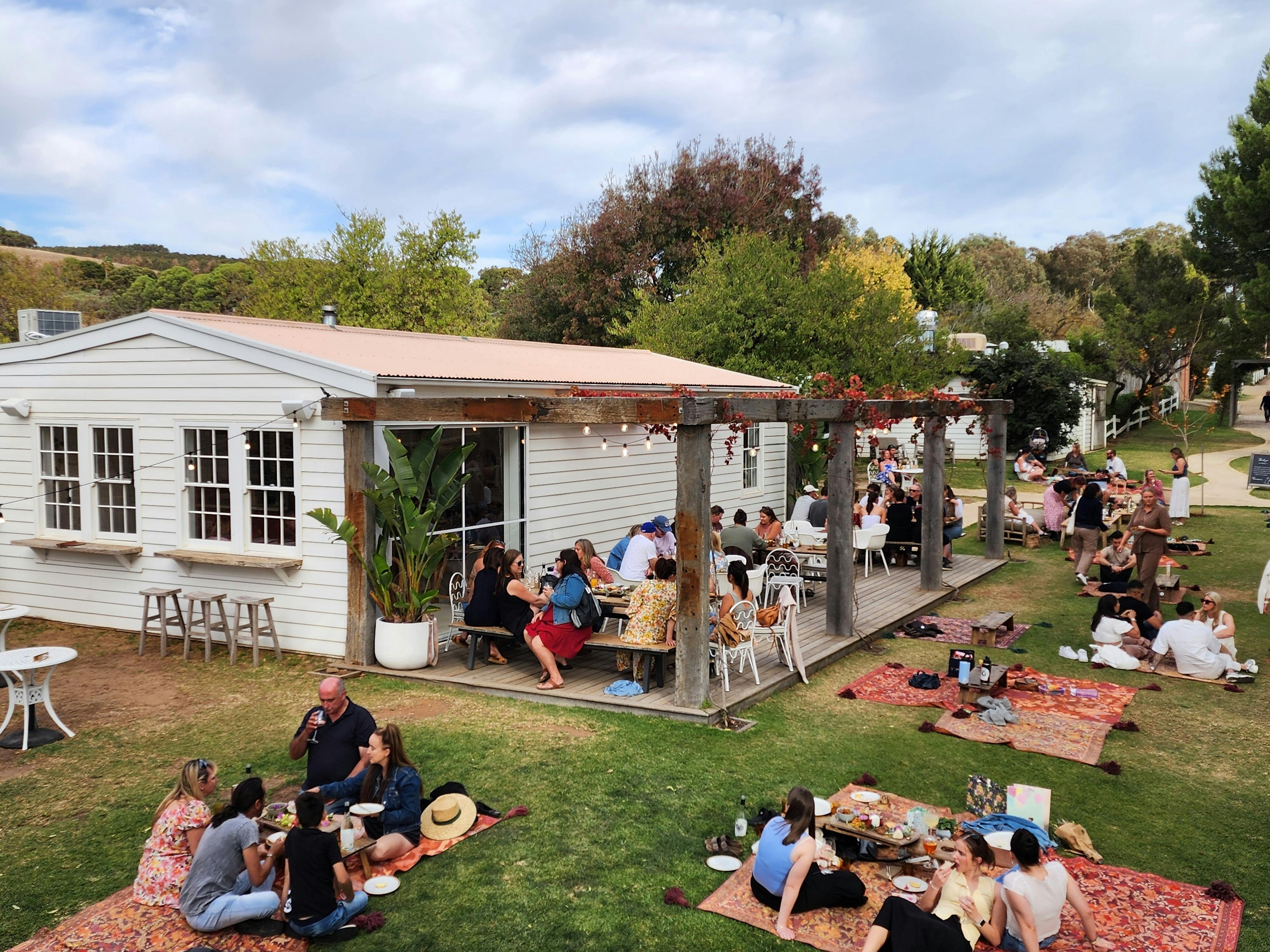 View from bus at Down the Rabbit Hole Winery
