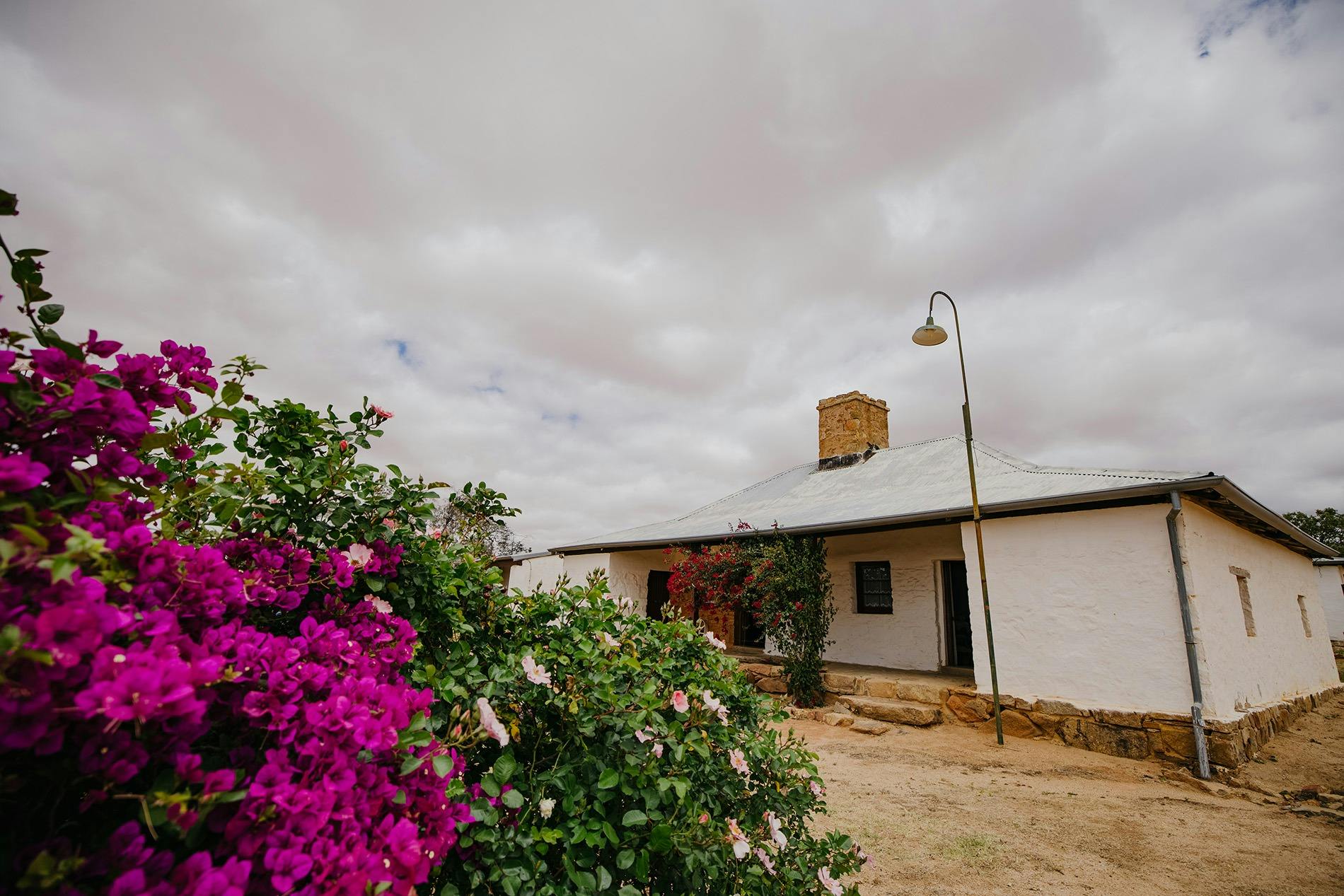Mangowine Homestead