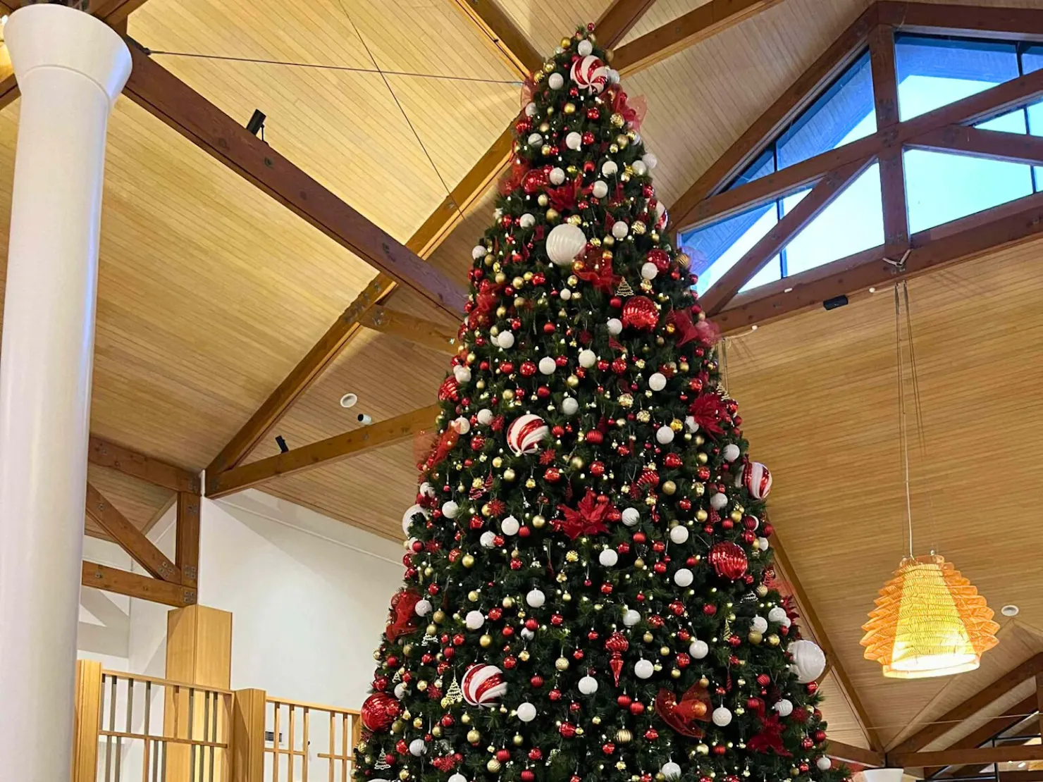 Christmas tree at Novotel Sunshine Coast Resort