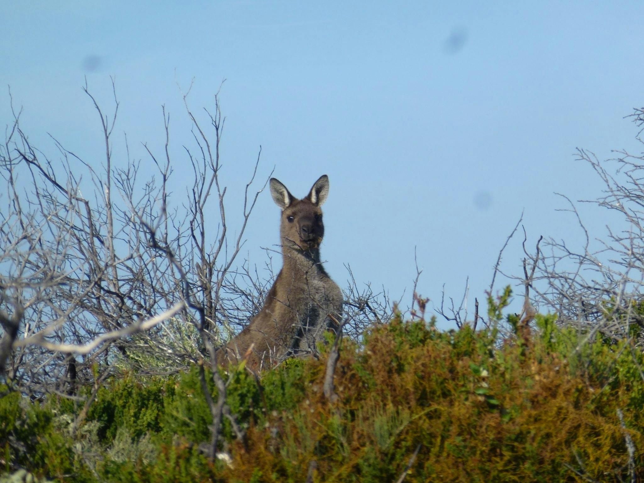 Bibbulmun Track Foundation, Perth, Western Australia