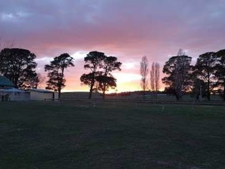 Braidwood SHow Ground