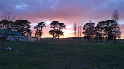 Braidwood SHow Ground