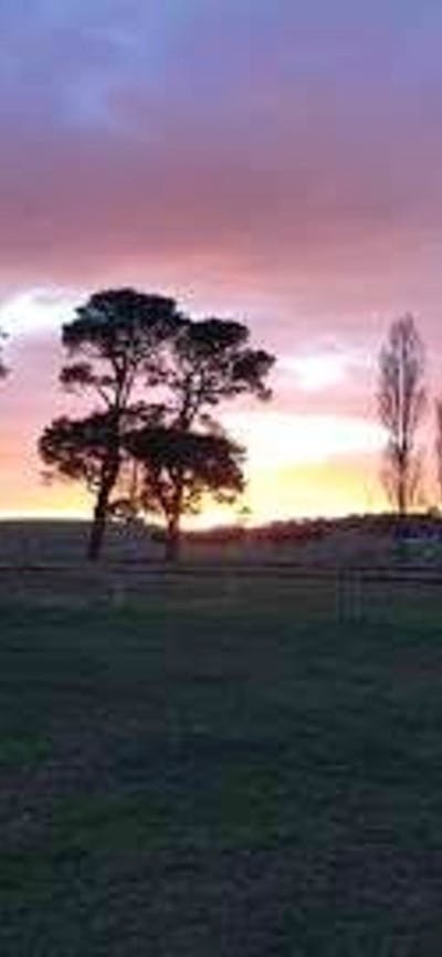 Braidwood SHow Ground