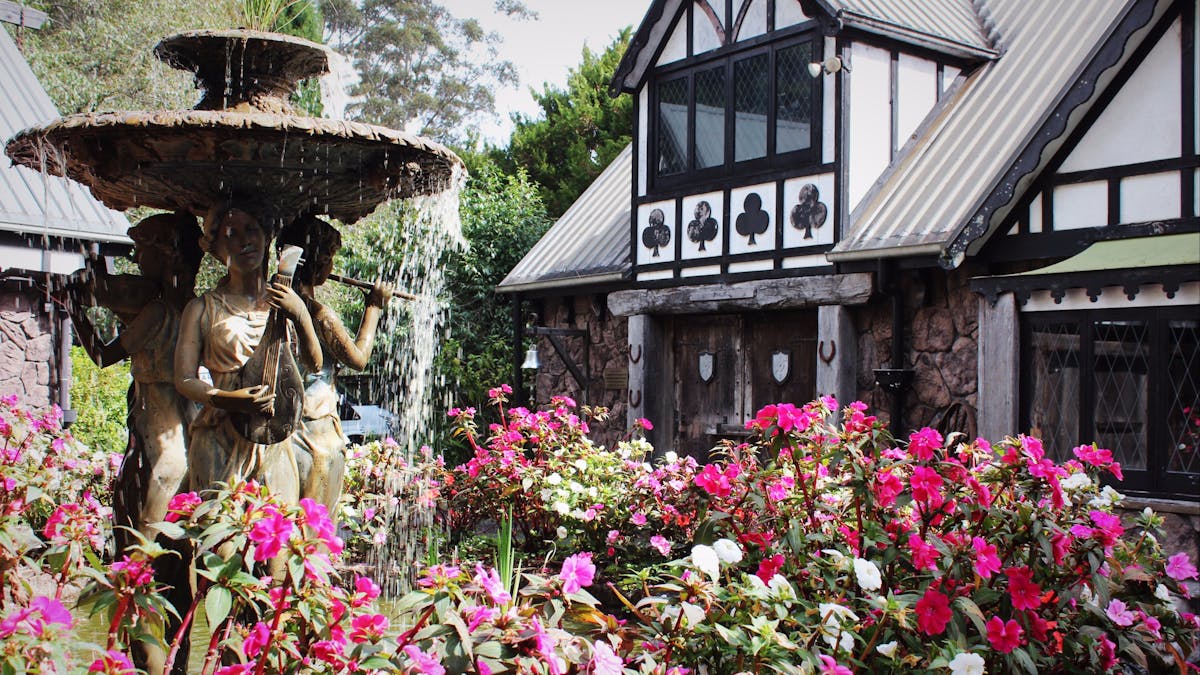 Flowers, garden, tamborine, winery tour