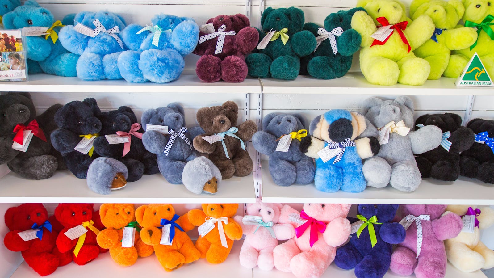 Tambo Teddies