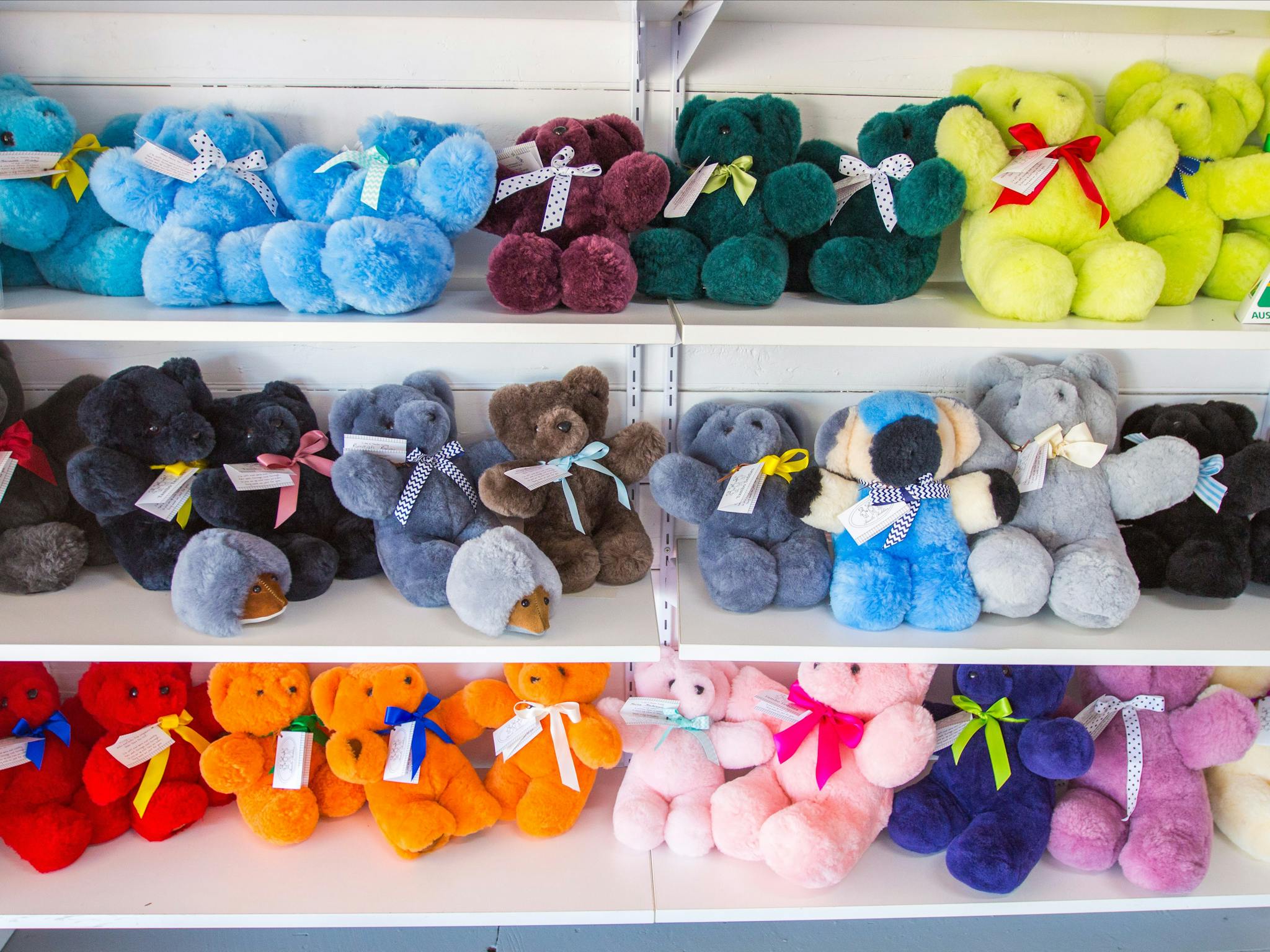 Tambo Teddies