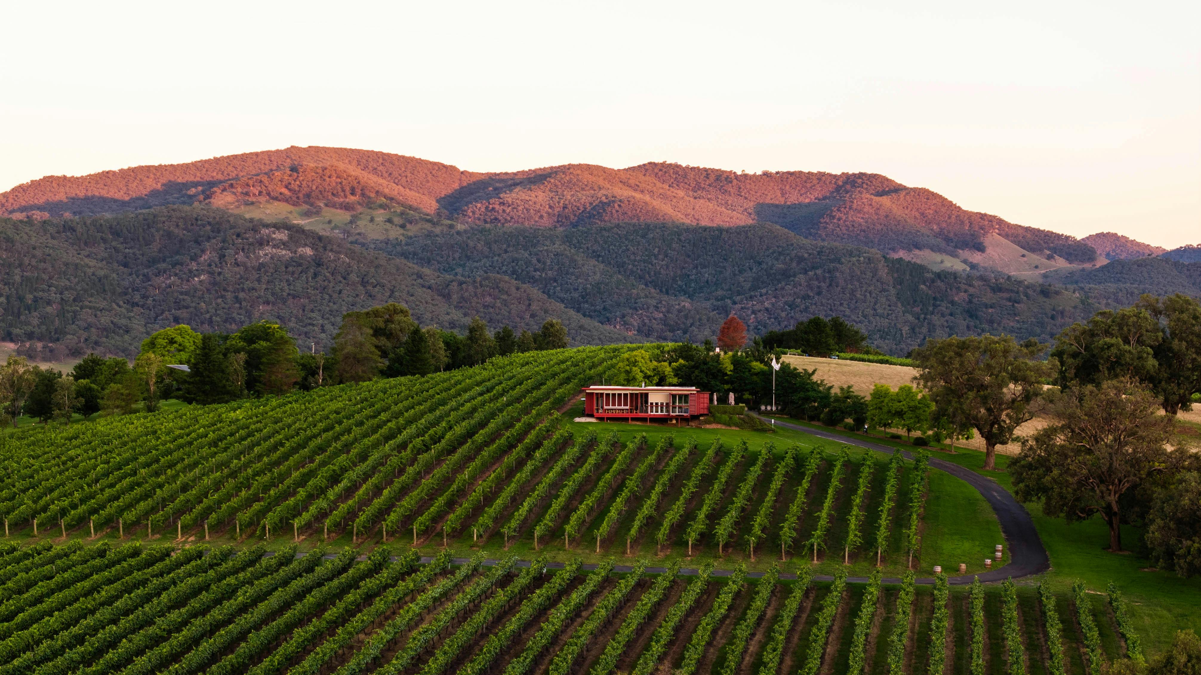 Stunning vineyard and cellar door, with a backdop of rugged hills.