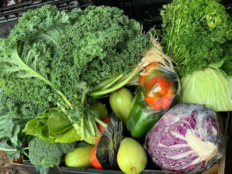Locally grown, farm fresh vegetables! Doesn't get better than this.