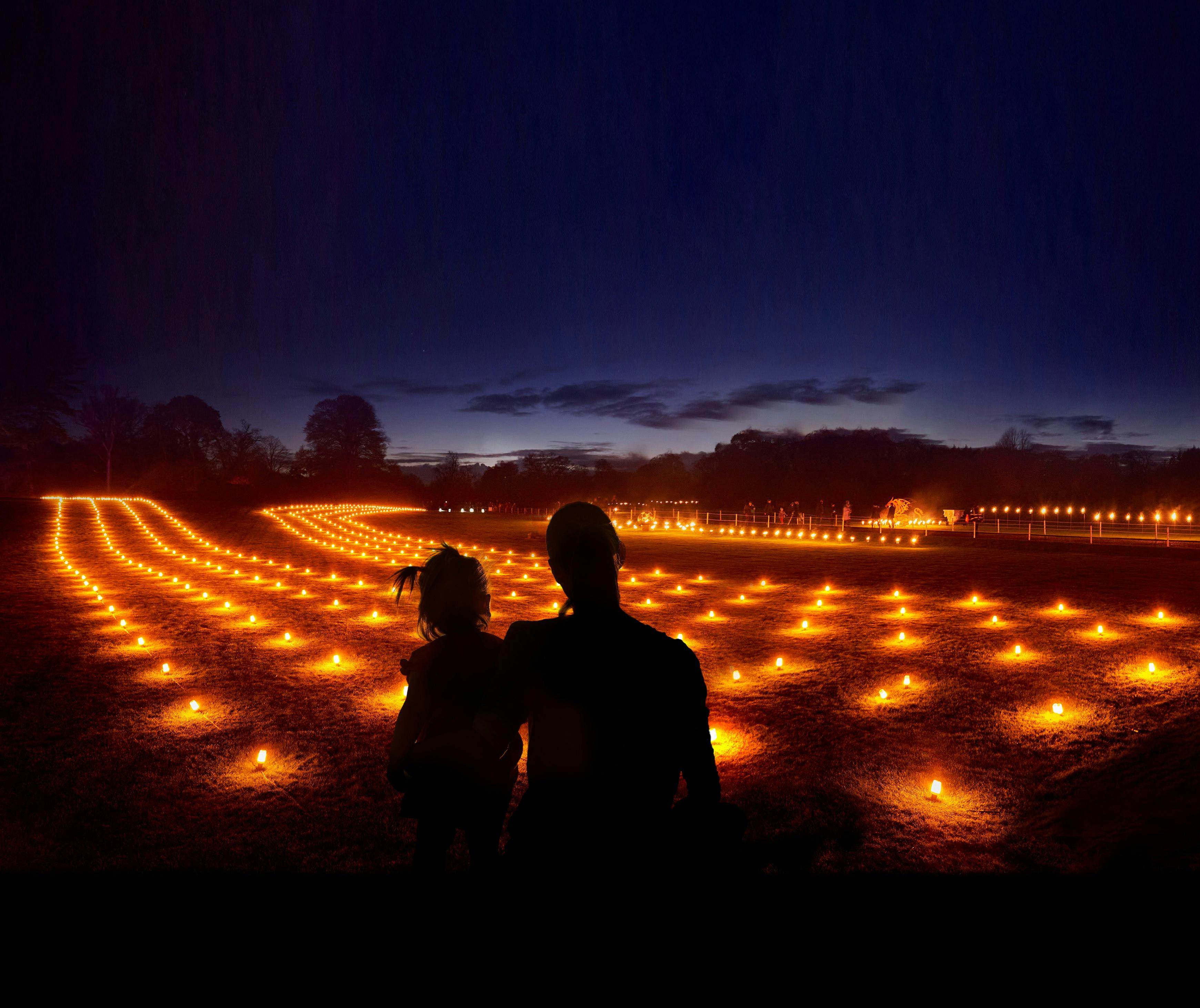 Lightfall at Royal Botanic Gardens Cranbourne