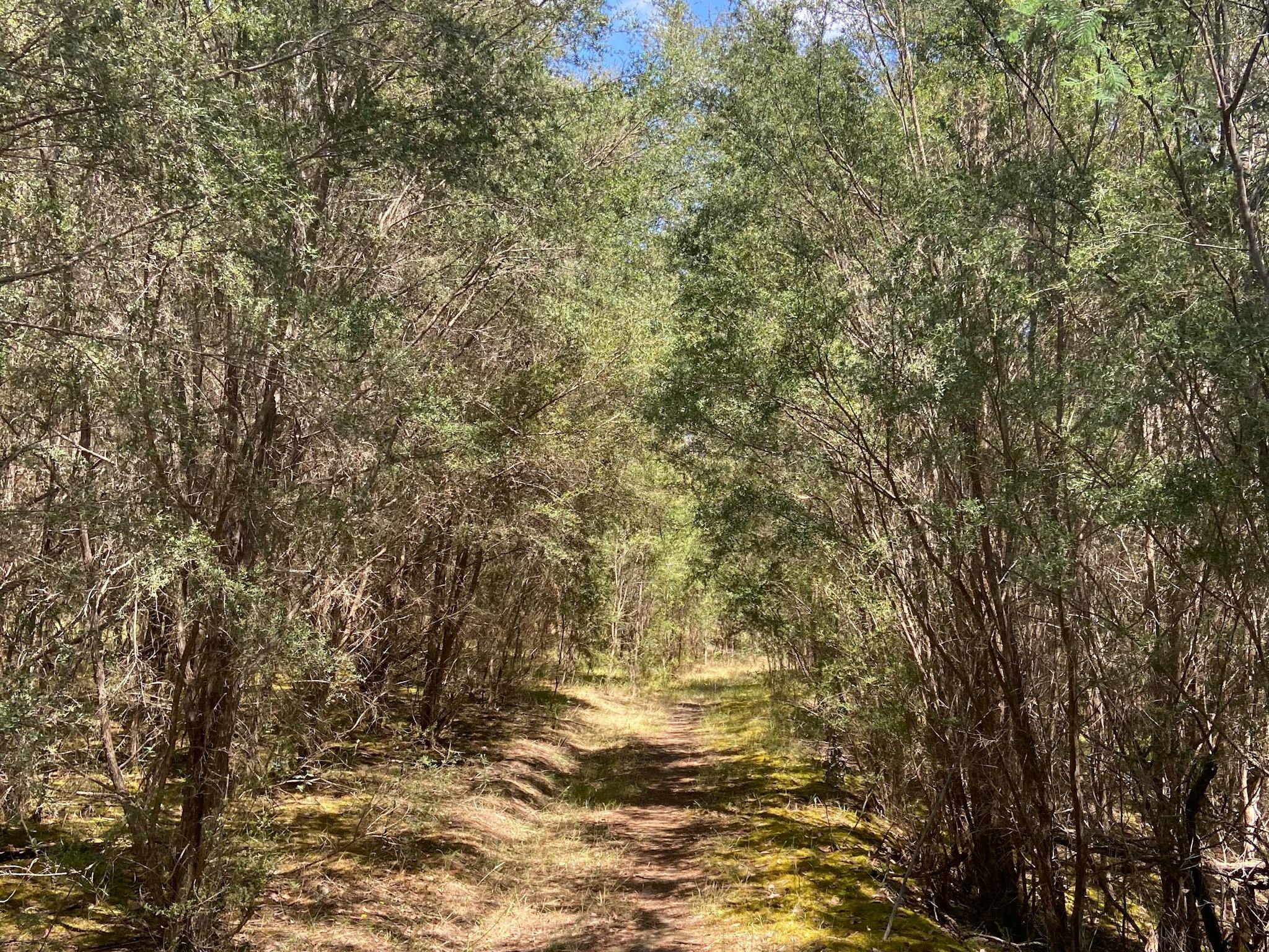 Perfect Cure Creek Nature Trail