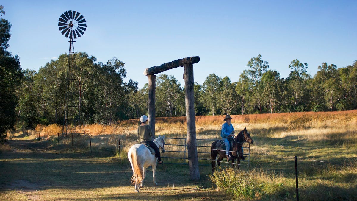 horses farmstay