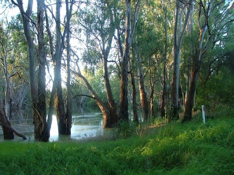 Five Rivers Fishing Trail