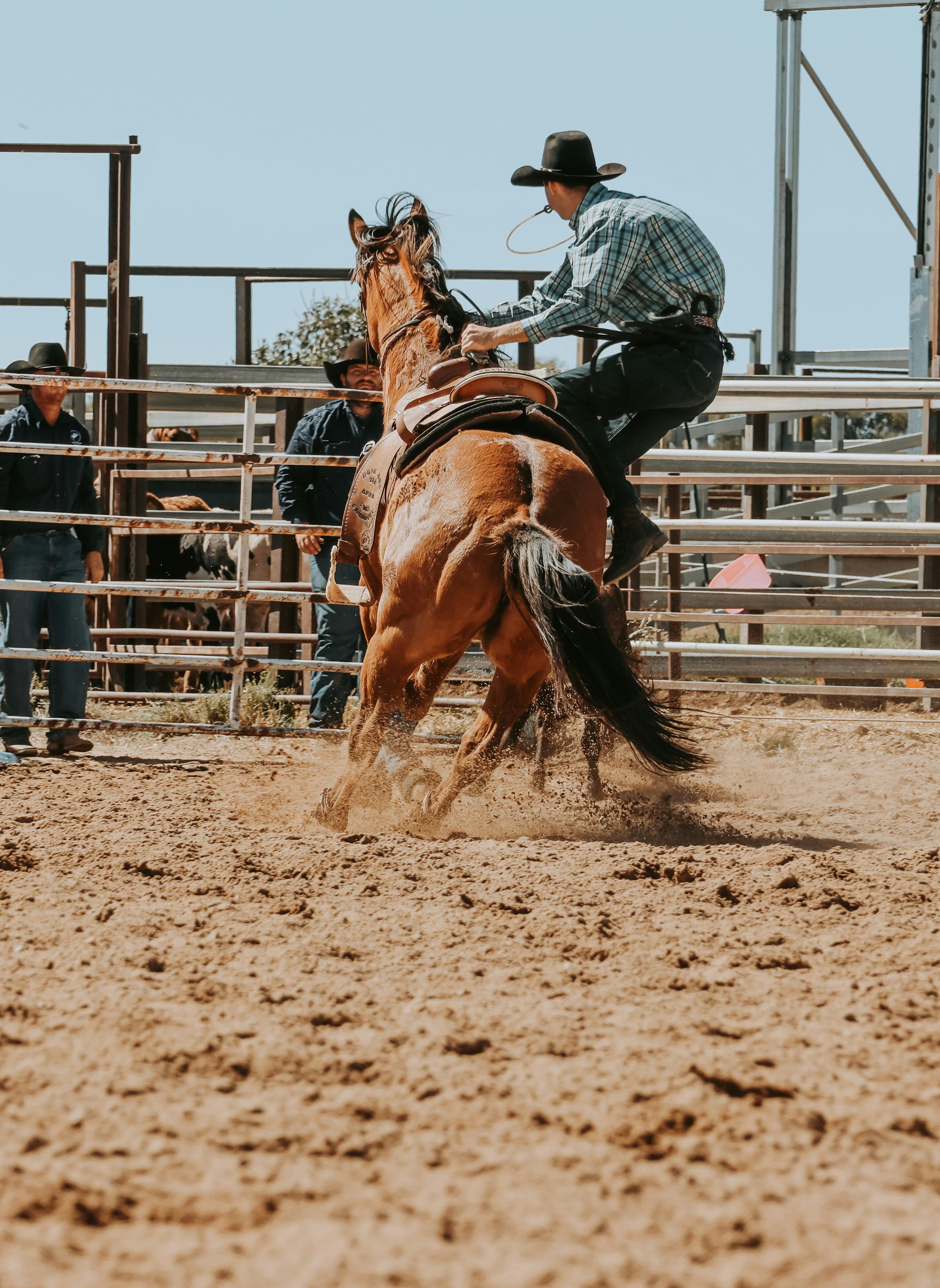 Richmond Rodeo