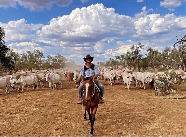 Virtual Reality Cattle Mustering