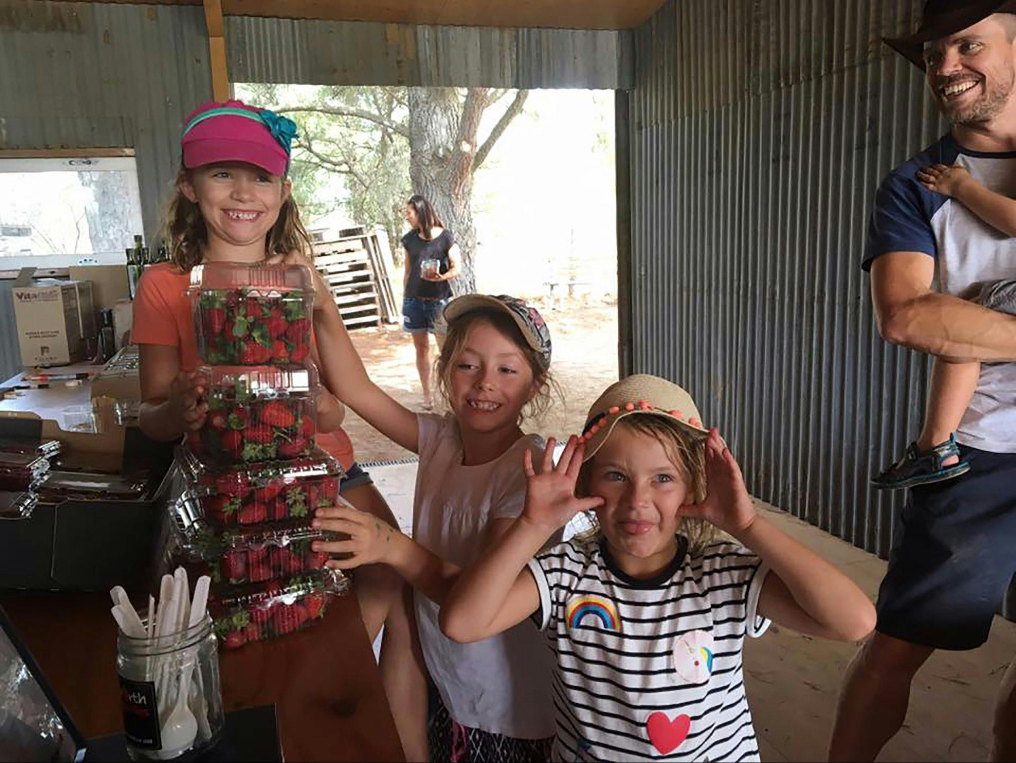 Three girls with five large punnets of strawberries