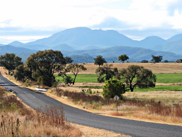 Coonabarabran car touring route, Warrumbungle National Park. Photo: OEH