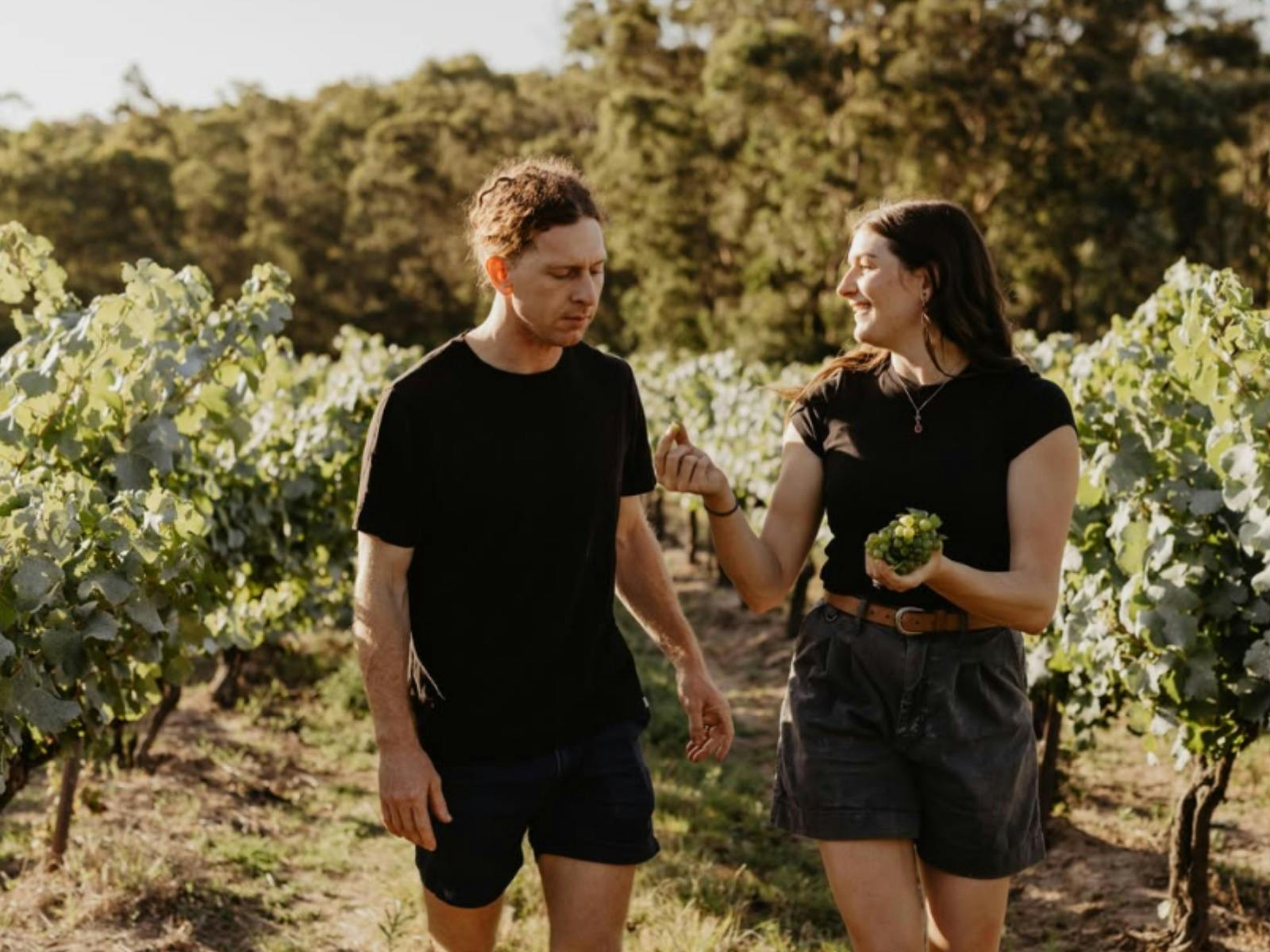Glover Wines in the garden