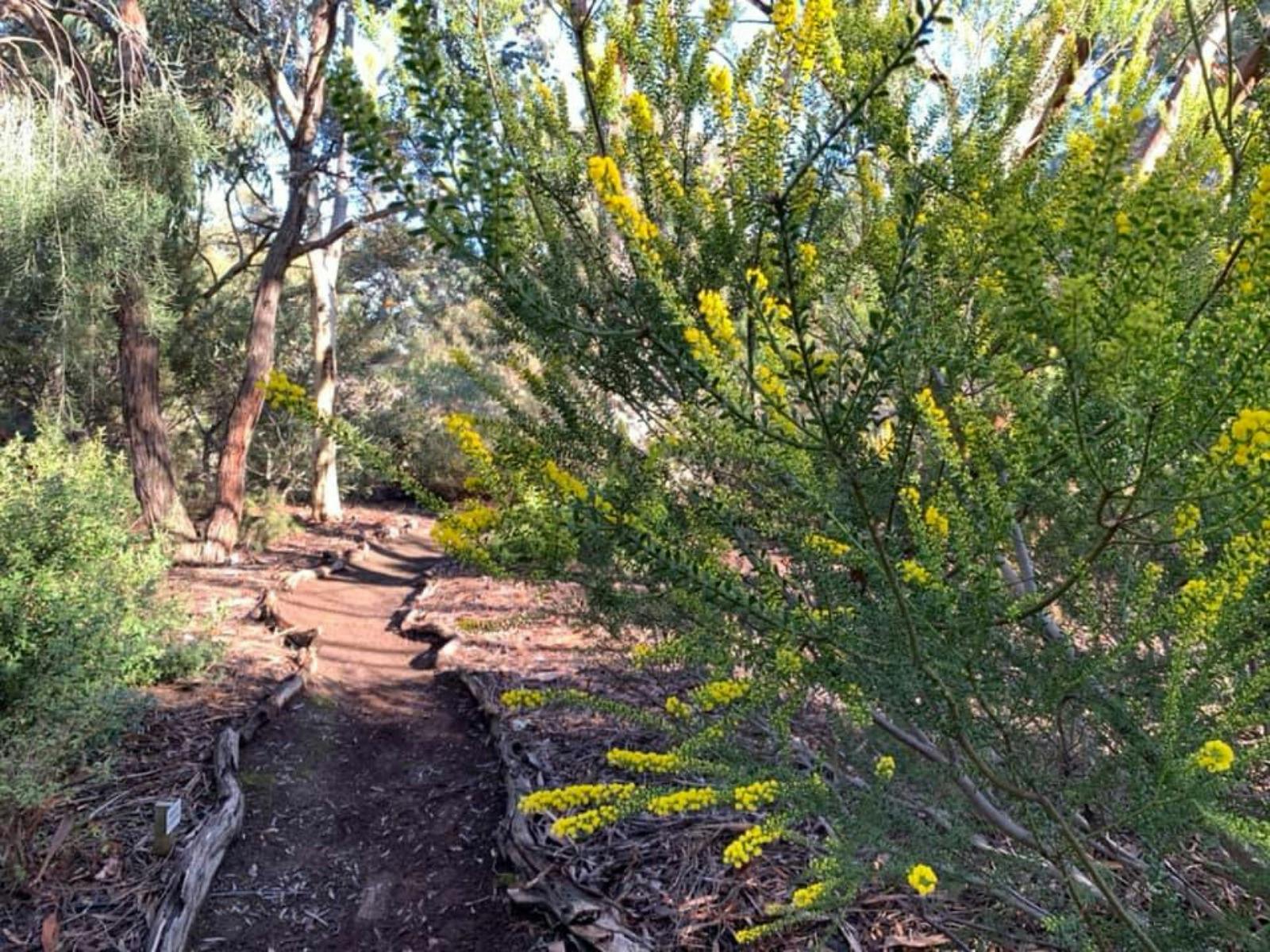 Nangawooka, Victor Harbor