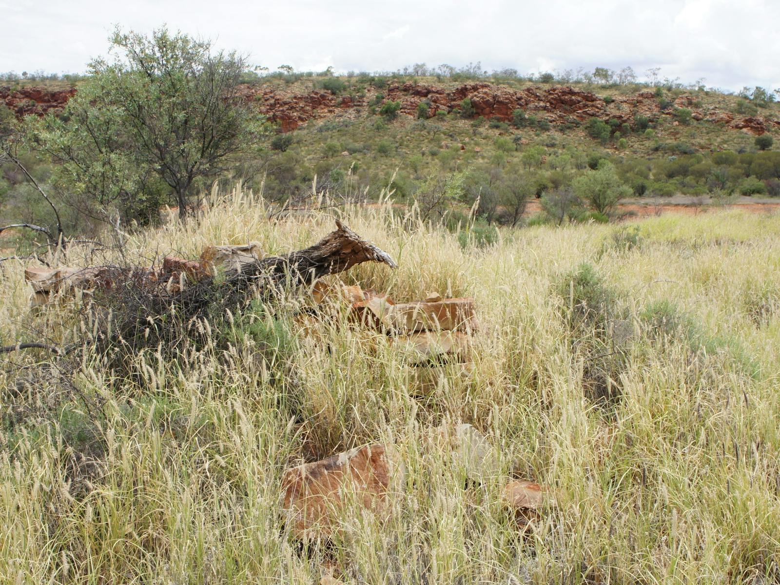 Original Glen Helen Homestead