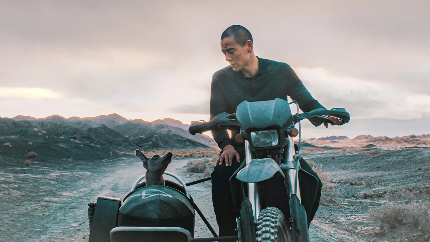 Man on motorbike with dog