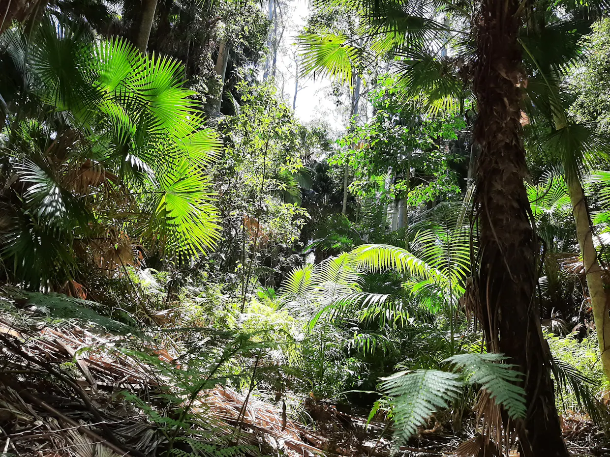 Private group Nature Connection at Alex Forest