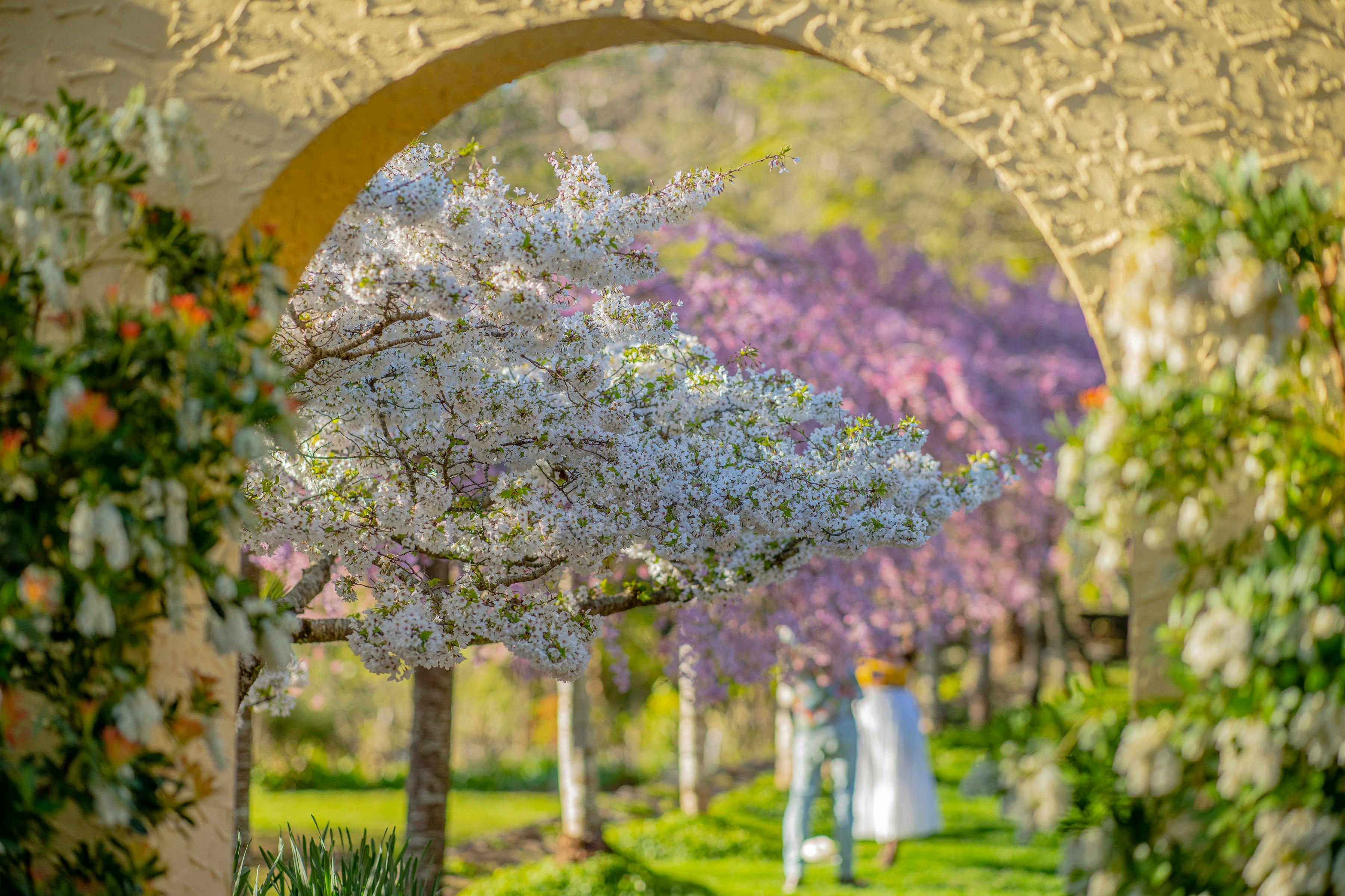 Everglades House & Gardens (National Trust NSW)