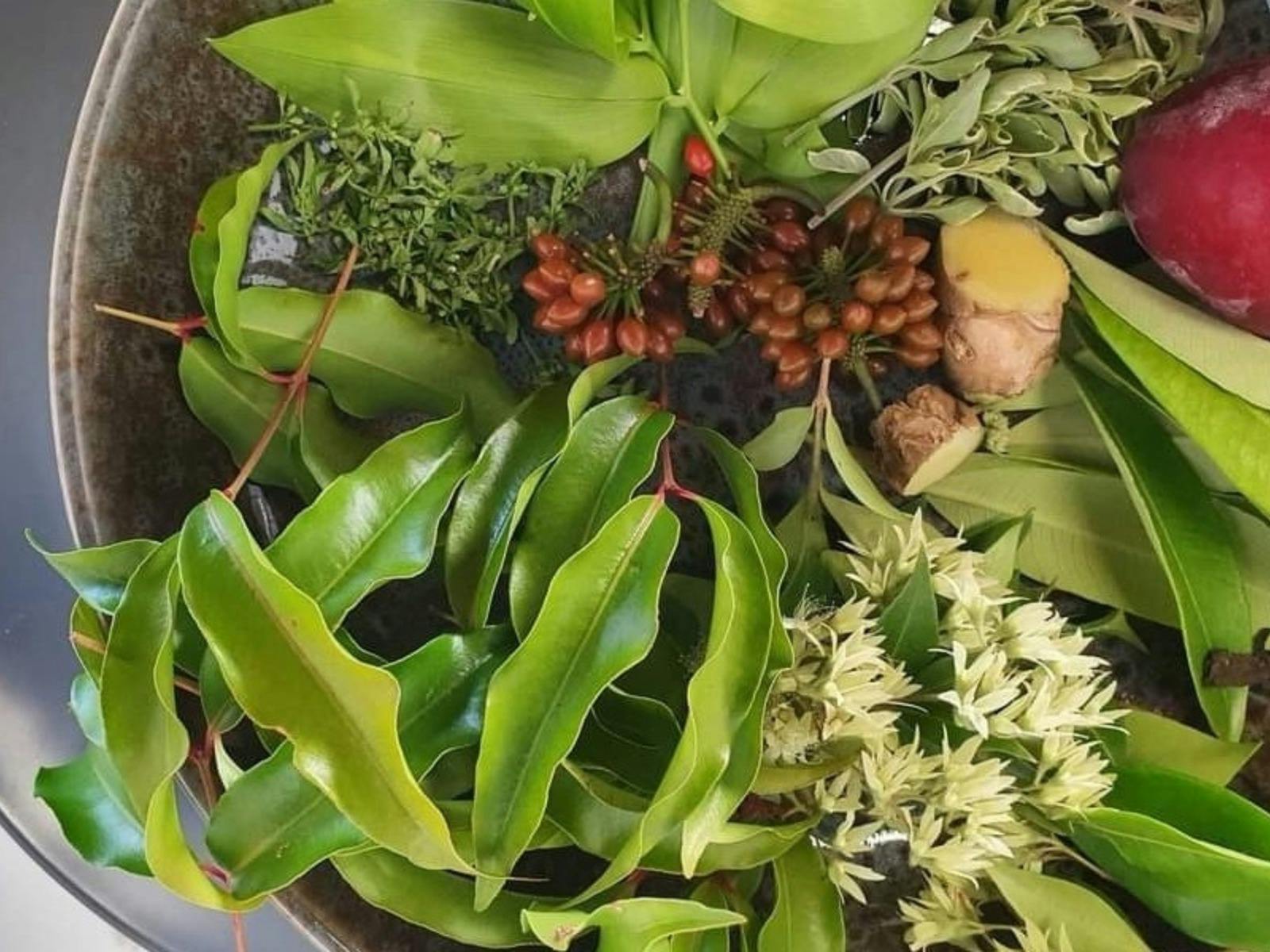 Bush tucker tastings