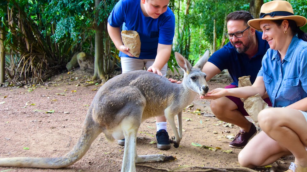 Billabong Sanctuary