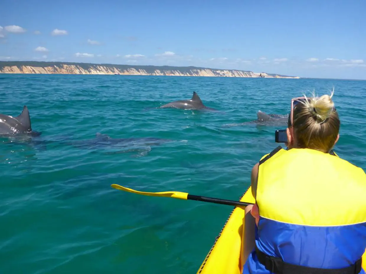 Noosa Dolphin Sea Kayak Tour & 4X4 Beach Adventure