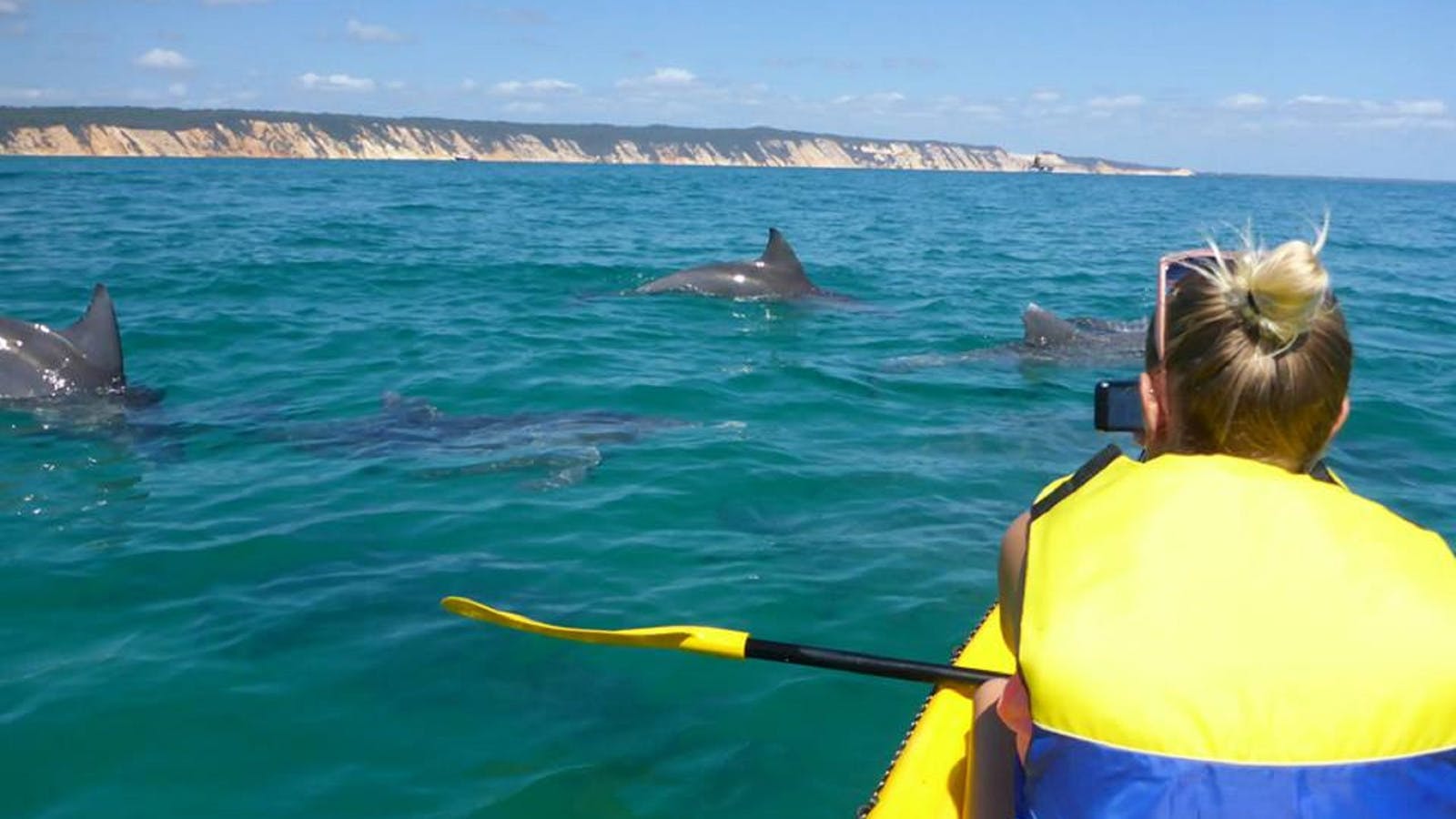 kayak tours noosa kayak tours noosa