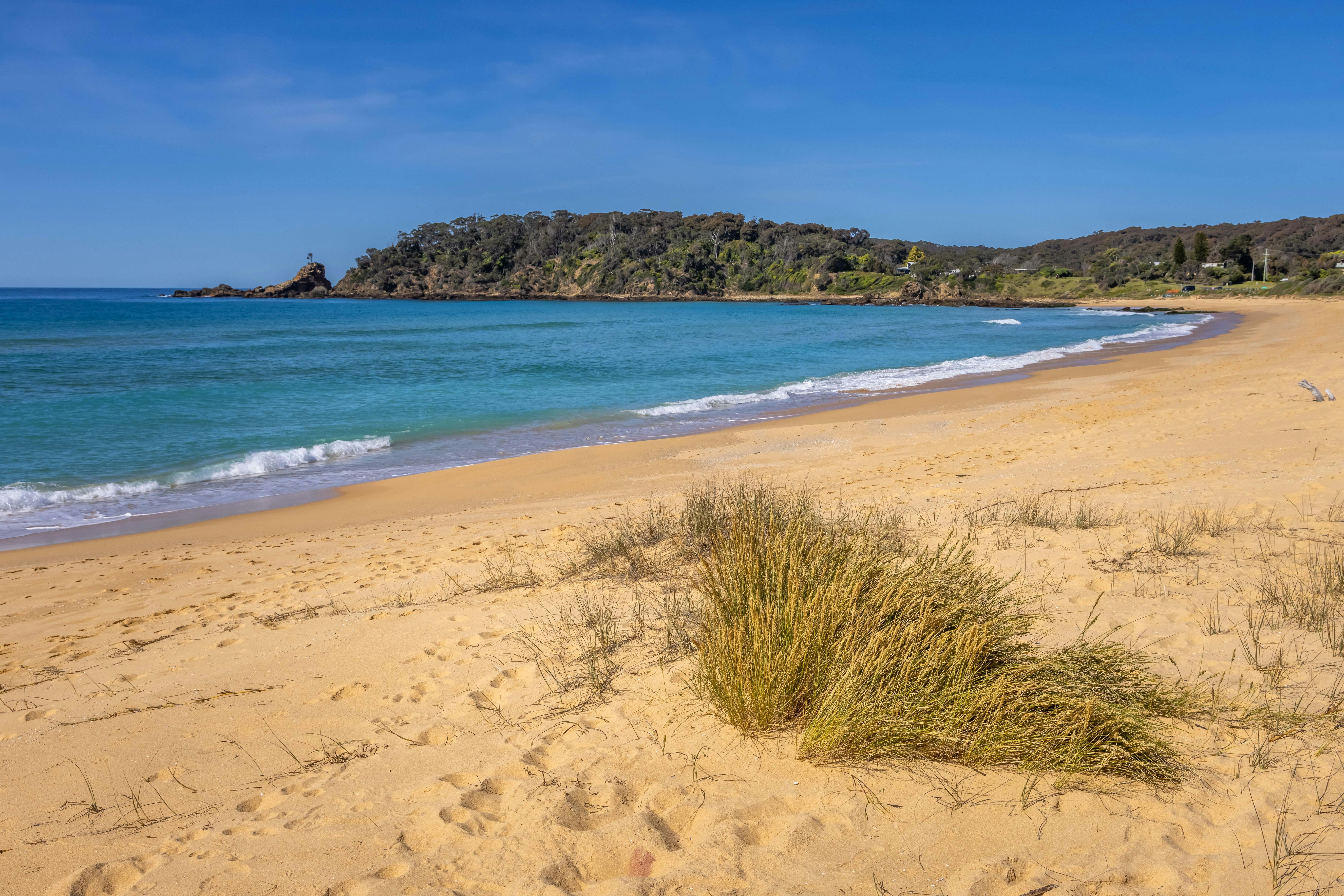 Cuttagee Beach, Bermagui, Sapphire Coast, South Coast NSW, swimming, surfing, beachesCuttagee Beach,